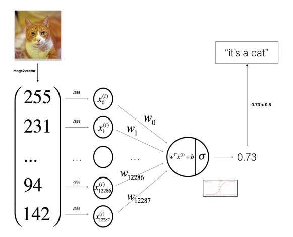 lg-cat-classifier
